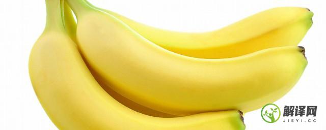 香蕉怎么种植(香蕉怎么种植的方法)