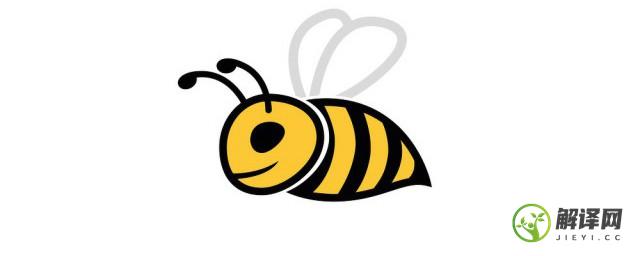蜜蜂有什么特点