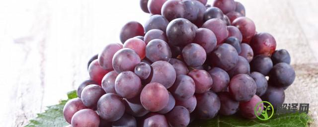 吃不到葡萄说葡萄酸是什么心理