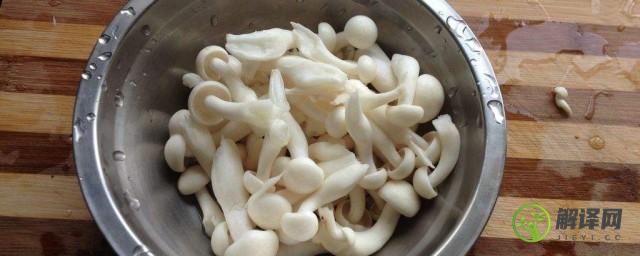 白玉菇和海鲜菇的区别(白玉菇和海鲜菇的区别是什么)