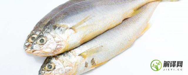 鱼在冰箱冻了一年还能吃吗(在冰箱里冷冻了半年的鱼还能吃吗)