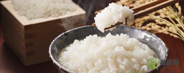 大米饭米和水的比例(蒸箱蒸大米饭米和水的比例)