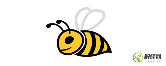 怎样辨认中蜂还是意蜂(区分中蜂意蜂)
