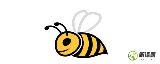 蜜蜂特点(蜜蜂特点和品质加象征的人)