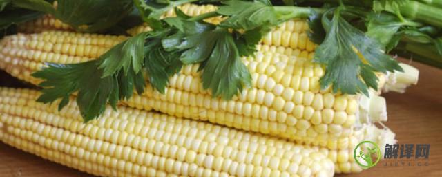 玉米种植技术与管理施肥(玉米种植技术与管理施肥新闻)