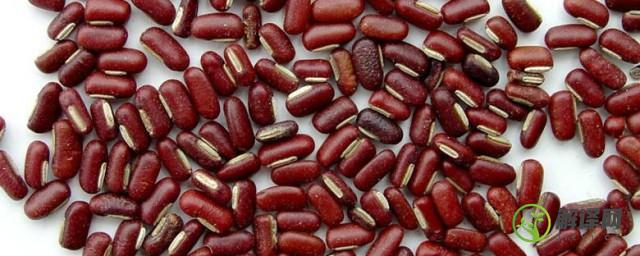 红小豆和赤小豆的区别的作用(红小豆与赤小豆的功效区别)