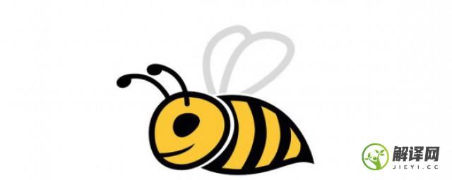 常见的蜜蜂种类有哪些(蜜蜂的种类有哪些?)