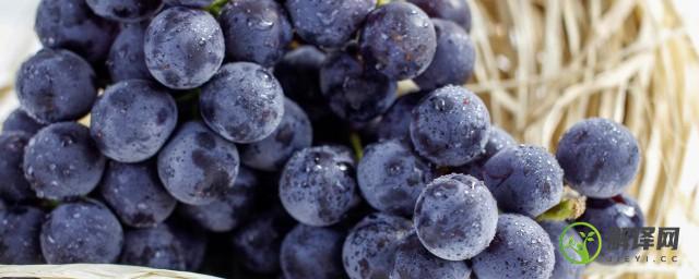 葡萄为何会落花落果是熟透了吗