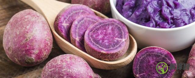 紫薯的食用方法(紫薯的食用方法与禁忌)