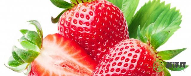 芝士草莓做法(芝士草莓的做法)