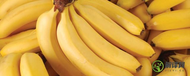 香蕉的繁殖方法(香蕉的繁殖方法视频)