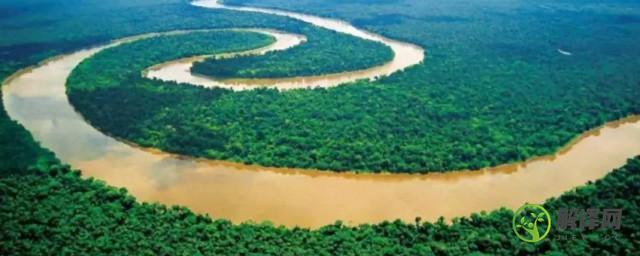 世界上最大的河流(世界上最大的河流三角洲)