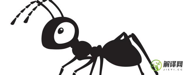 白蚁是蚂蚁吗(白蚁是蚂蚁吗图片)