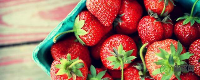 草莓营养价值(草莓营养价值与功效禁忌)