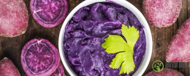 紫薯营养价值高有效抗癌味道好