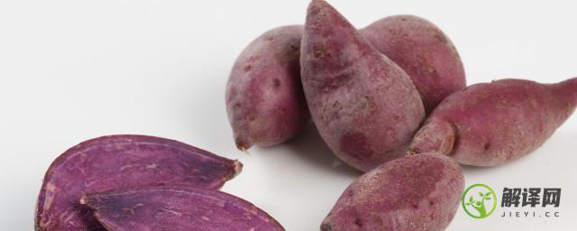 紫红薯的营养价值(红薯与紫薯的营养价值)