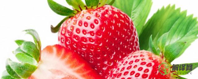 草莓苗培育方法(草莓苗的培育方法)