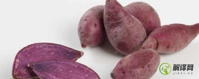 紫薯相克的食物(紫薯相克的食物香哈)
