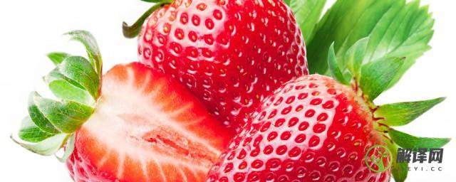 菠萝草莓种植方法(菠萝草莓怎么种)
