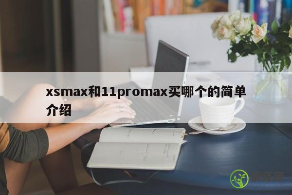 xsmax和11promax买哪个的简单介绍 