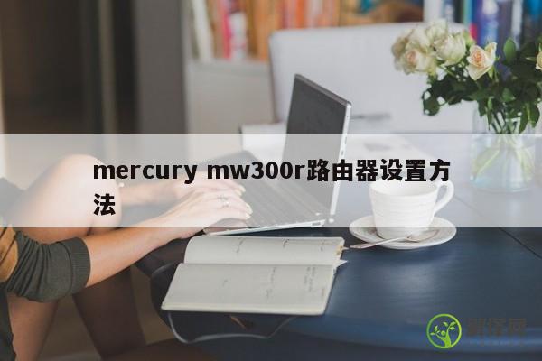 mercury mw300r路由器设置方法 