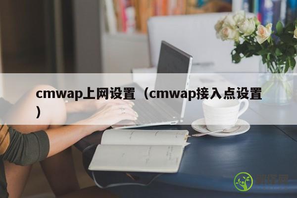 cmwap上网设置（cmwap接入点设置） 