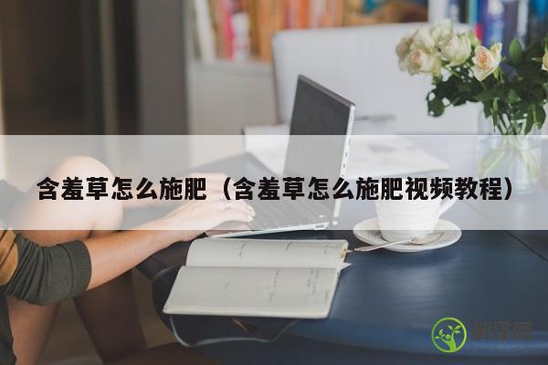 含羞草怎么施肥（含羞草怎么施肥视频教程） 