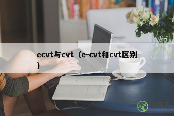 ecvt与cvt（e