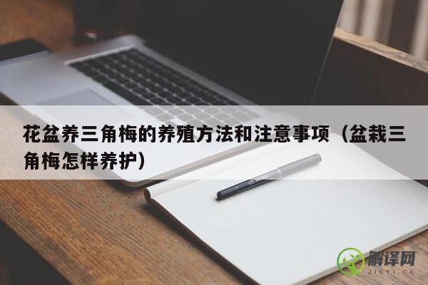 花盆养三角梅的养殖方法和注意事项（盆栽三角梅怎样养护） 