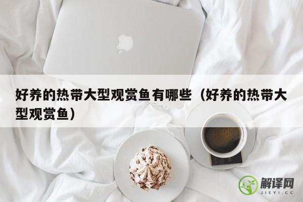 好养的热带大型观赏鱼有哪些（好养的热带大型观赏鱼） 