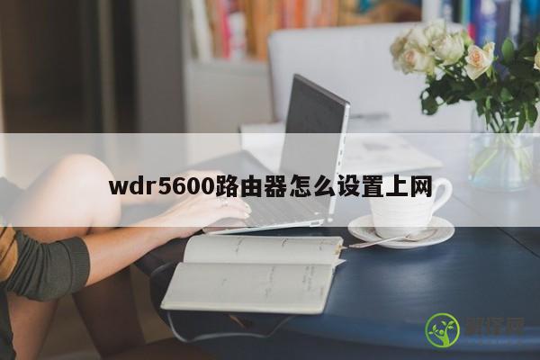 wdr5600路由器怎么设置上网 