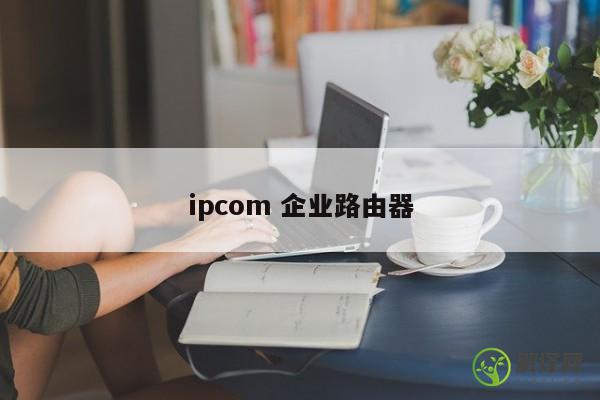 ipcom 企业路由器 