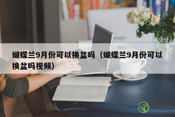 蝴蝶兰9月份可以换盆吗（蝴蝶兰9月份可以换盆吗视频） 