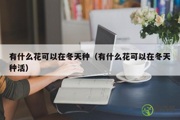 有什么花可以在冬天种（有什么花可以在冬天种活） 