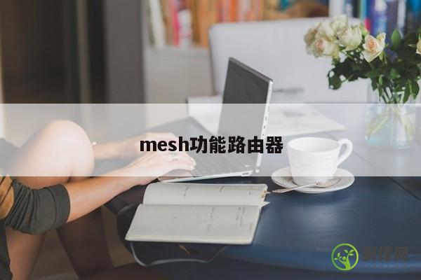 mesh功能路由器 