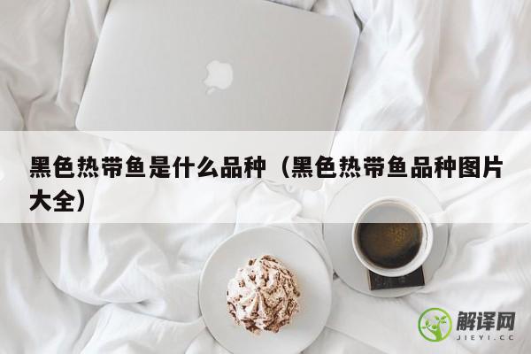 黑色热带鱼是什么品种（黑色热带鱼品种图片大全） 