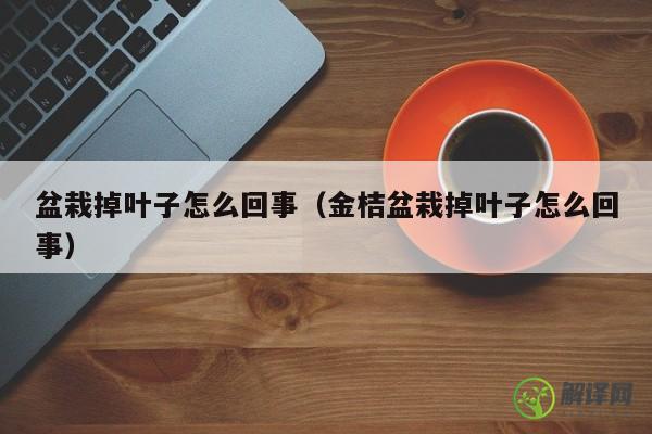 盆栽掉叶子怎么回事（金桔盆栽掉叶子怎么回事） 