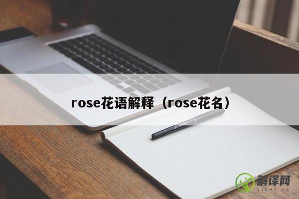 rose花语解释（rose花名） 